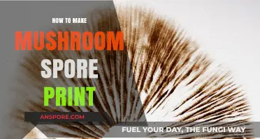 Mastering Mushroom Spore Prints: A Step-by-Step Guide for Beginners