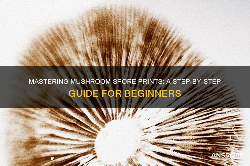 how to make mushroom spore print