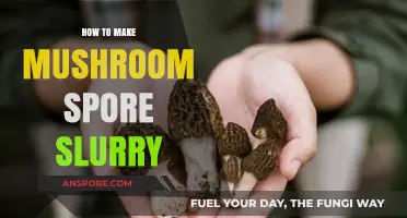 Mastering Mushroom Cultivation: A Simple Guide to Making Spore Slurry