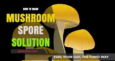 Crafting Mushroom Spore Solution: A Step-by-Step Guide for Beginners