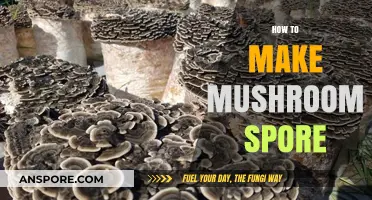 Mastering Mushroom Spore Production: A Step-by-Step Cultivation Guide