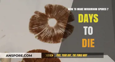 Crafting Mushroom Spores in 7 Days to Die: A Survival Guide