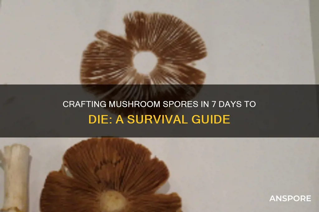how to make mushroom spores 7 days to die