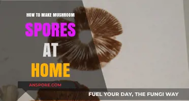 DIY Mushroom Spores: A Step-by-Step Home Cultivation Guide