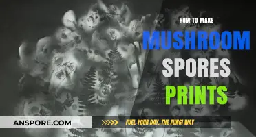 Mastering Mushroom Spore Prints: A Step-by-Step Guide for Beginners