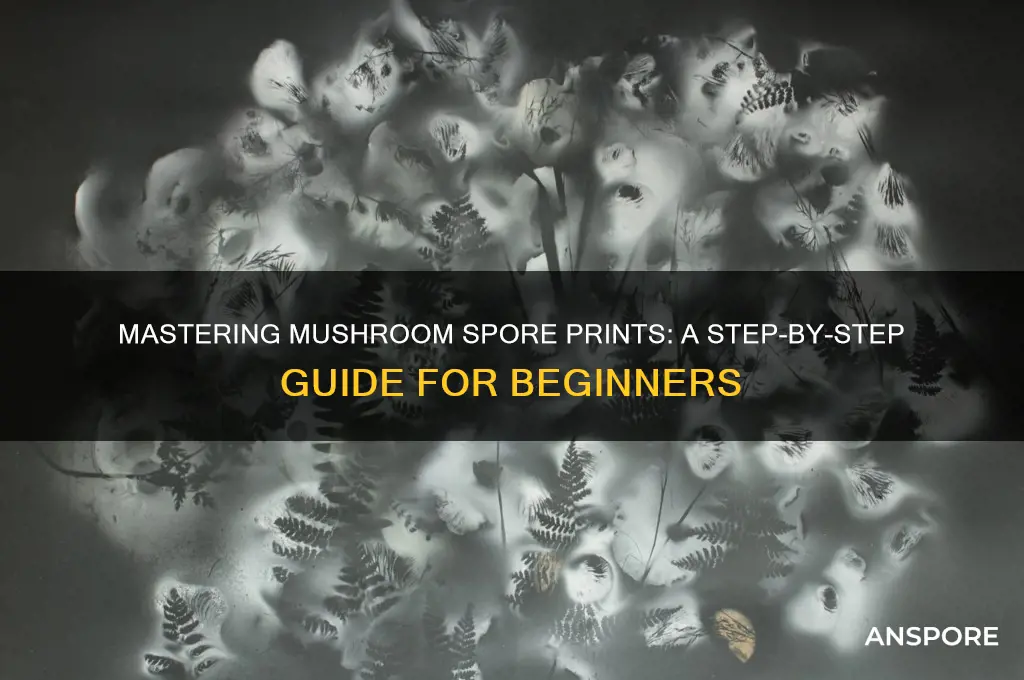 how to make mushroom spores prints