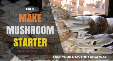 Mastering Mushroom Cultivation: A Step-by-Step Guide to Making Your Starter