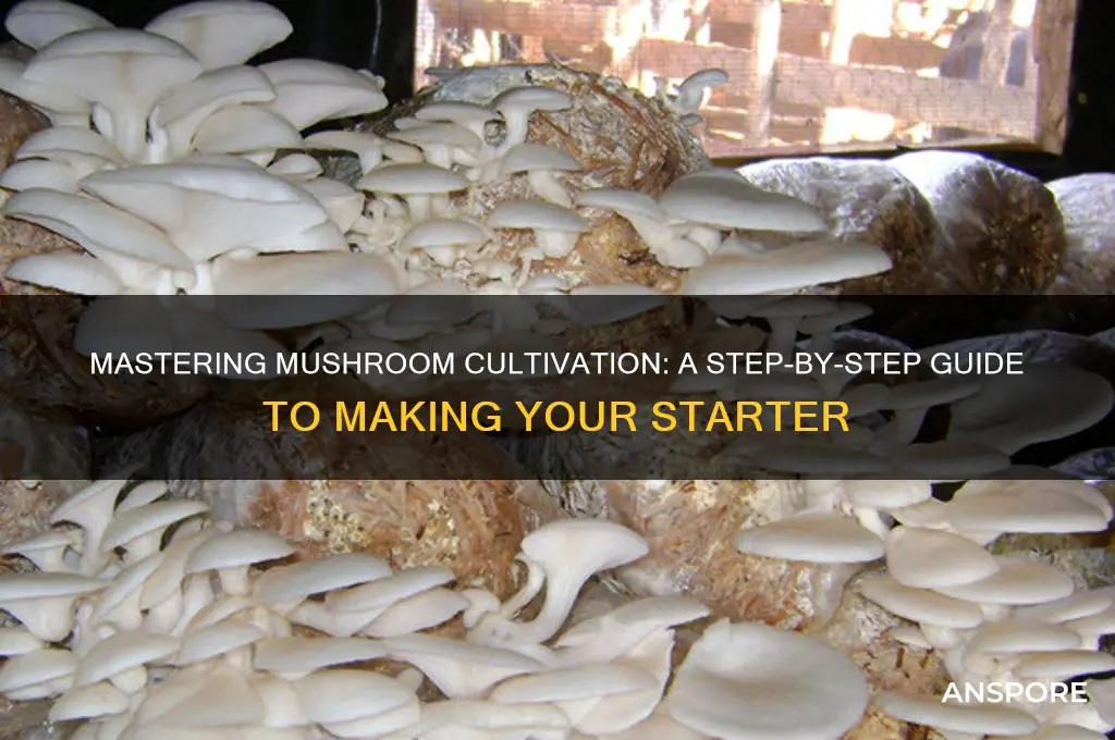 how to make mushroom starter