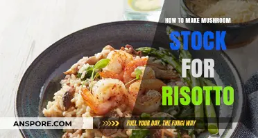 Crafting Perfect Mushroom Stock: Elevate Your Risotto with Umami Flavor