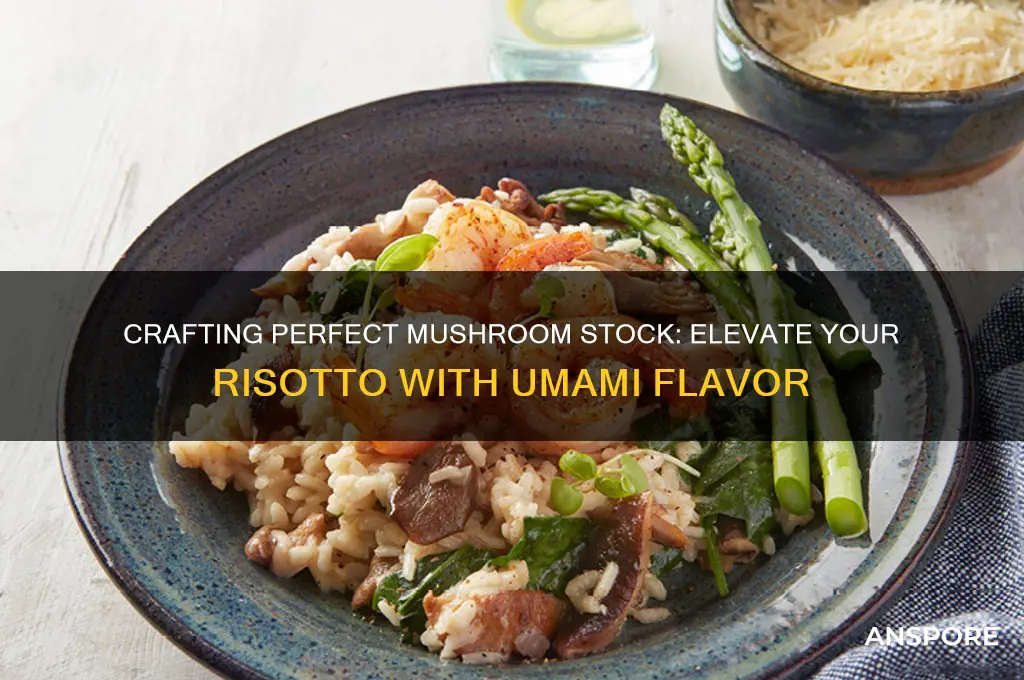 how to make mushroom stock for risotto