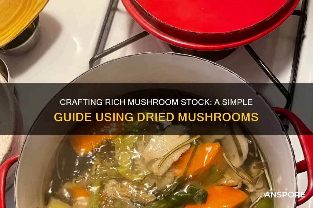 how to make mushroom stock from dried mushrooms