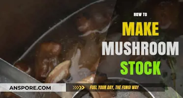 Mastering Mushroom Stock: Simple Steps for Rich, Umami Flavor