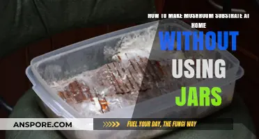 DIY Mushroom Substrate: Simple Homemade Methods Without Jars