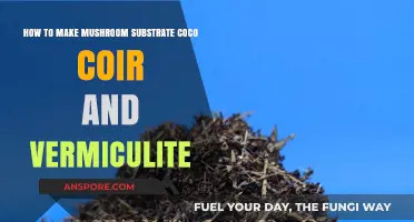 Perfect Mushroom Substrate: Mixing Coco Coir and Vermiculite for Success