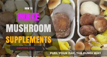 Crafting Mushroom Supplements: A Step-by-Step Guide to Homemade Wellness