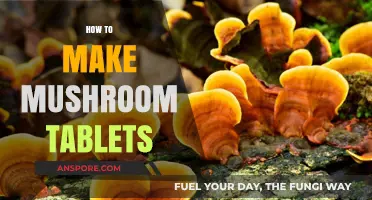 Crafting Mushroom Tablets: A Step-by-Step DIY Guide for Beginners