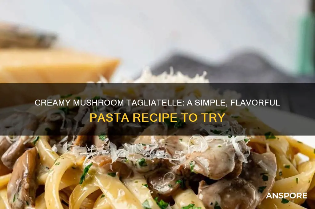 how to make mushroom tagliatelle