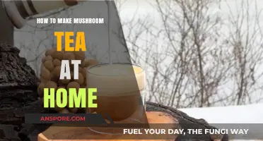 Brewing Bliss: A Simple Guide to Homemade Mushroom Tea