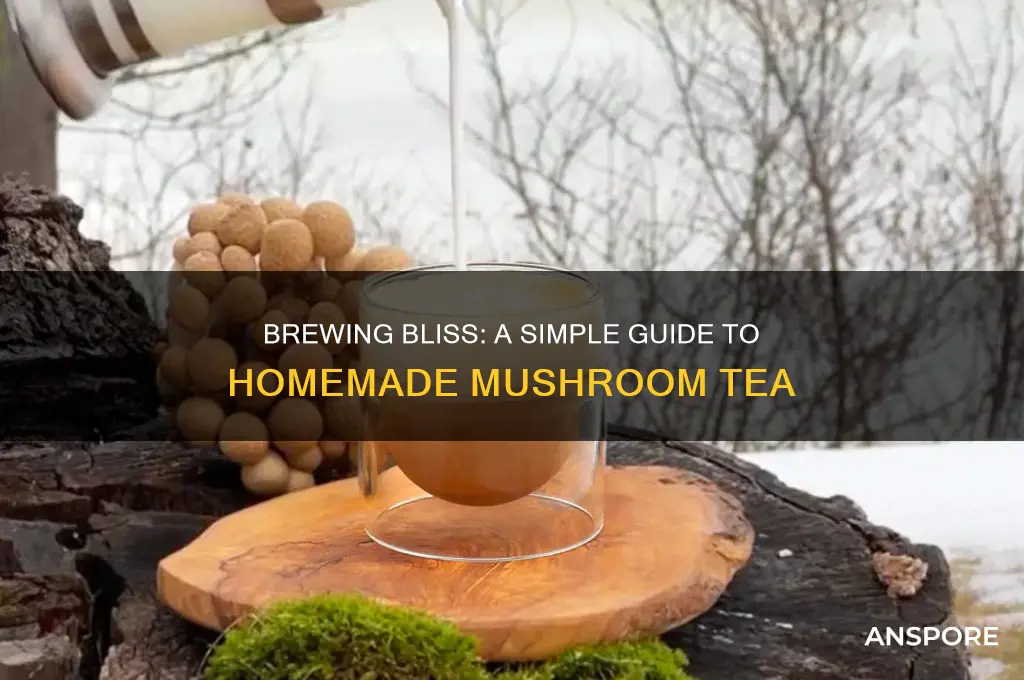 how to make mushroom tea at home