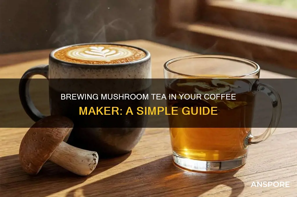 how to make mushroom tea coffee maker
