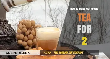 Brewing Mushroom Tea: A Simple Recipe for Two People