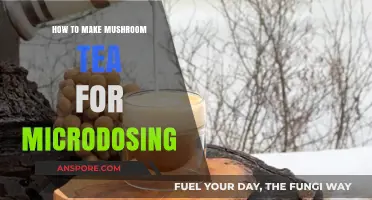 Brewing Mushroom Tea: A Beginner's Guide to Microdosing Safely