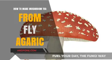 Brewing Fly Agaric Mushroom Tea: A Step-by-Step Guide