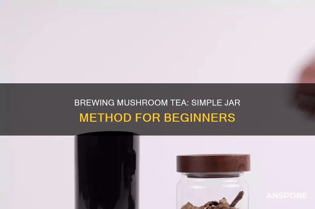 how to make mushroom tea in a jar