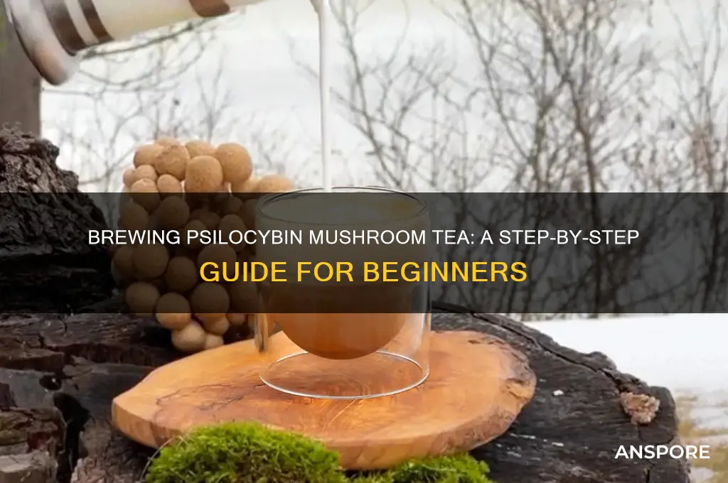 how to make mushroom tea psilocybin