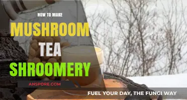 Brewing Mushroom Tea: A Shroomery Guide to Perfect Preparation