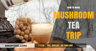 Brewing Magic: A Beginner’s Guide to Mushroom Tea Trips