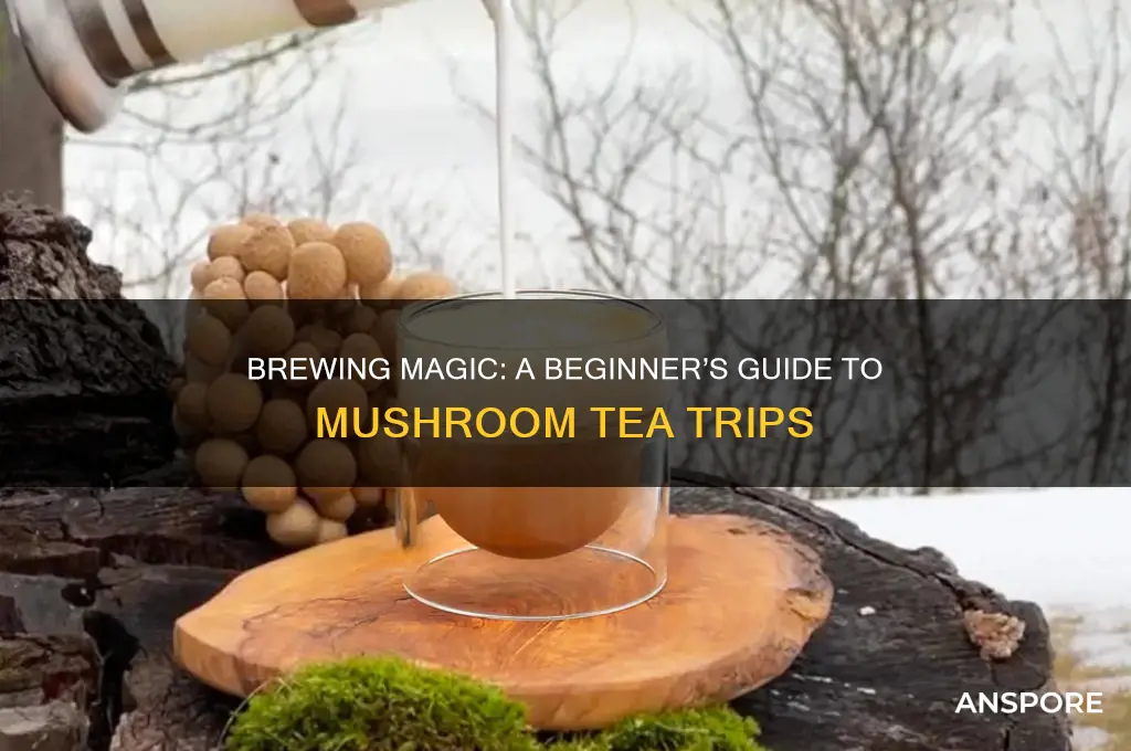 how to make mushroom tea trip