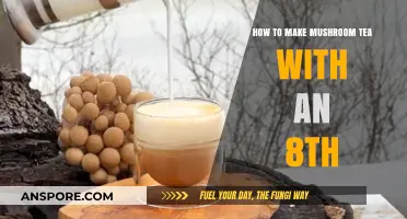 Brewing Mushroom Tea: A Simple Guide Using an Eighth