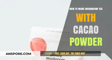 Brewing Bliss: Mushroom Tea with Cacao Powder Recipe Guide