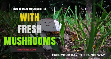 Brewing Mushroom Tea: A Fresh, Simple, and Healthy Recipe Guide