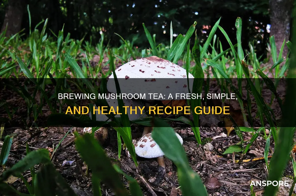 how to make mushroom tea with fresh mushrooms