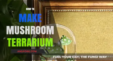 Create a Magical Mushroom Terrarium: Step-by-Step DIY Guide
