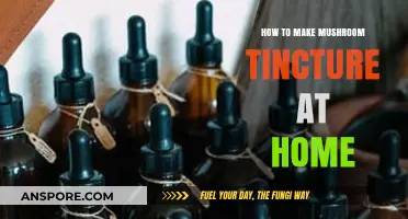 Crafting Mushroom Tincture at Home: A Simple DIY Guide