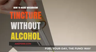 Alcohol-Free Mushroom Tincture: Simple DIY Extraction Methods Revealed