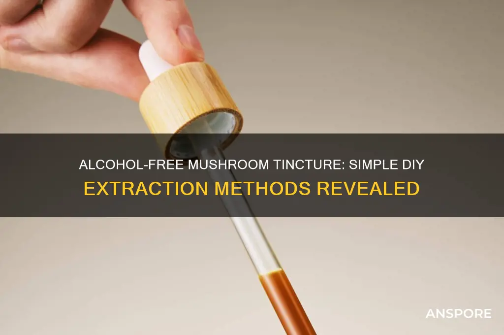 how to make mushroom tincture without alcohol