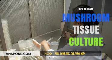 Mastering Mushroom Tissue Culture: A Step-by-Step Guide for Beginners