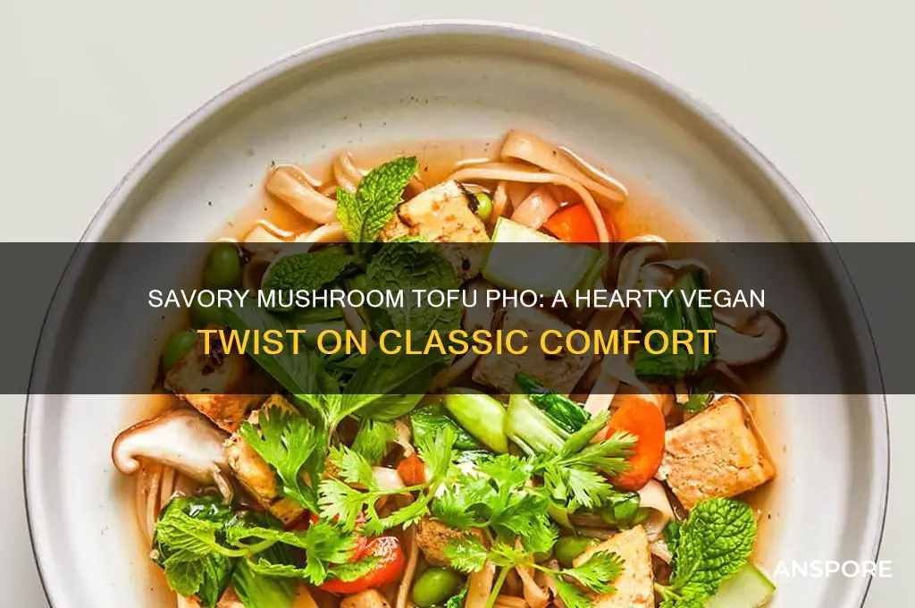 how to make mushroom tofu pho