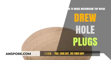 Crafting Mushroom Top Wood Plugs: A Step-by-Step Guide to Drew Hole Fillers