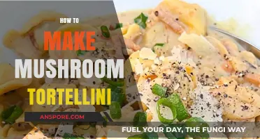 Crafting Perfect Mushroom Tortellini: A Step-by-Step Homemade Pasta Guide