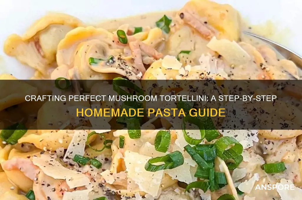 how to make mushroom tortellini
