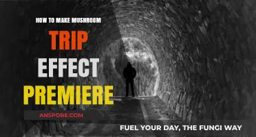 Creating Psychedelic Mushroom Trip Effects in Adobe Premiere Pro