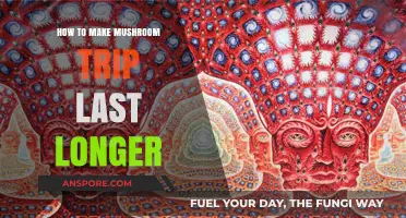 Extend Your Mushroom Journey: Tips for a Prolonged Psychedelic Experience