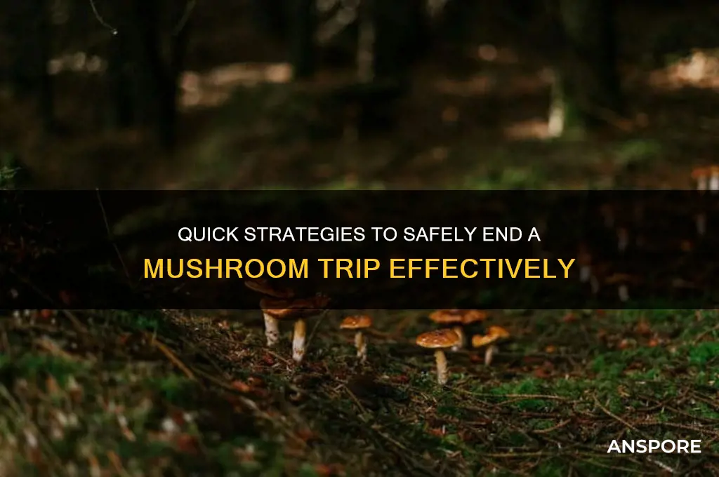 how to make mushroom trip stop