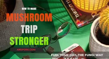 Enhance Your Mushroom Experience: Tips for a More Intense Trip