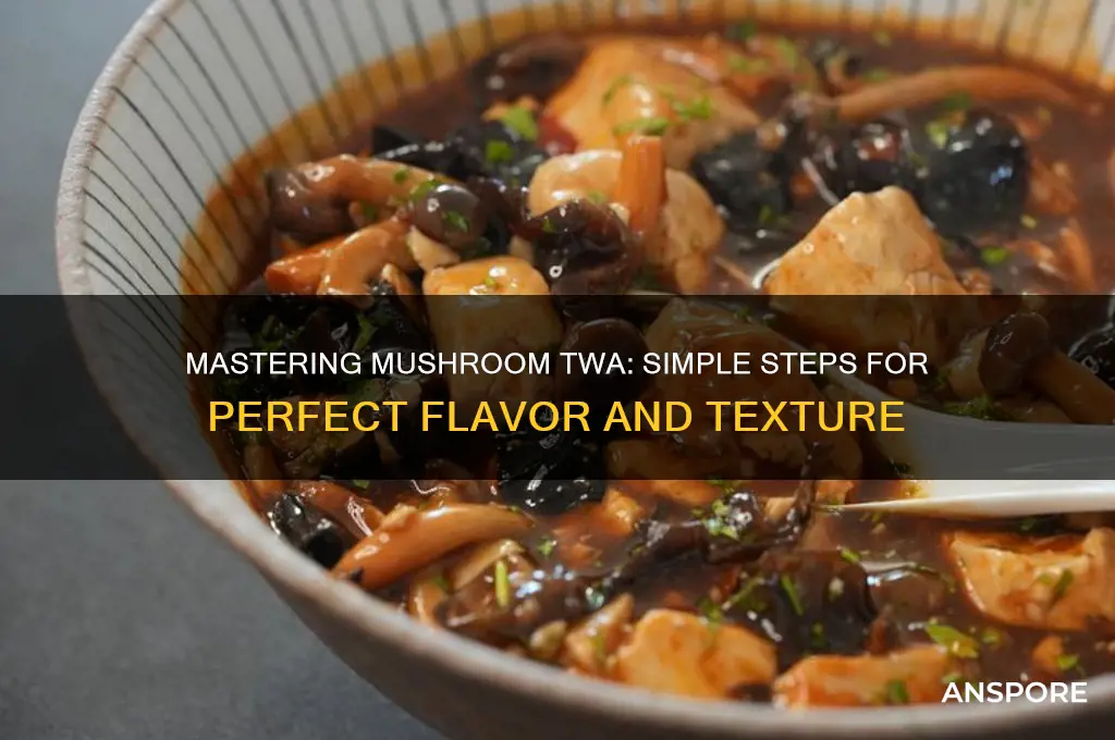 how to make mushroom twa